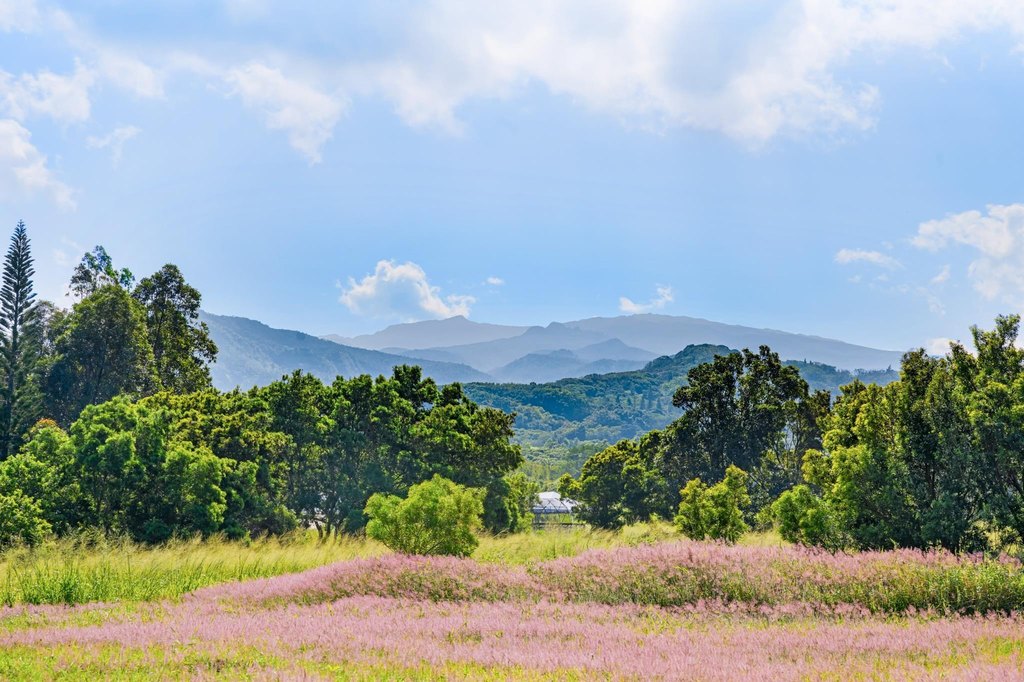 Lahaina, Hawaii, 96761, United States, ,Land,Forsale,2009551