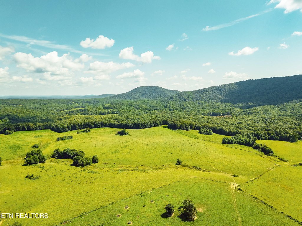 Sunbright, Tennessee, 37872, United States, ,Land,Forsale,1910240