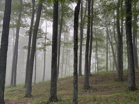 Pomfret, Vermont, 05067, United States, 4 Bedrooms Bedrooms, ,2.5 BathroomsBathrooms,Residential,Forsale,2004853