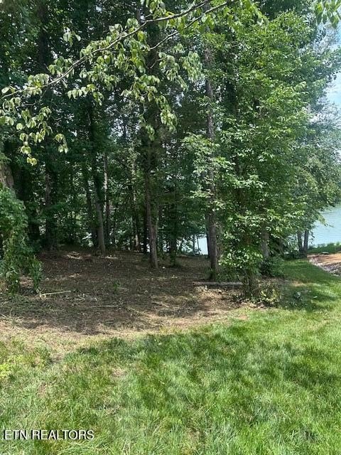 Loudon, Tennessee, 37774, United States, ,Land,Forsale,1893722