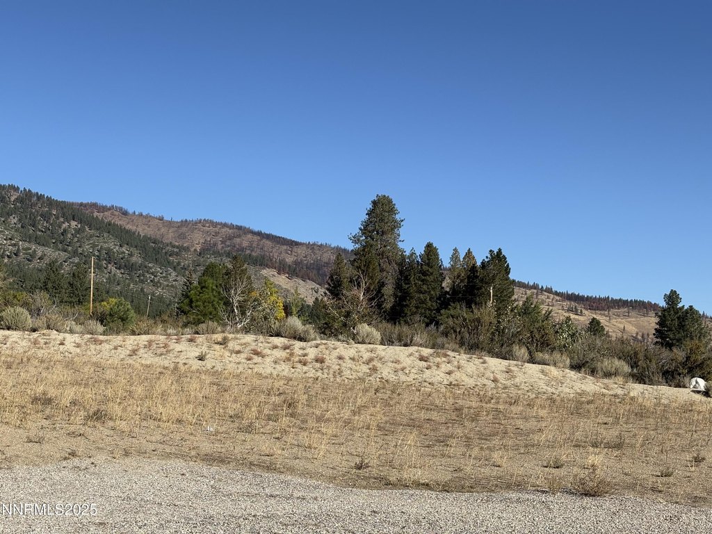 Washoe Valley, Nevada, 89704, United States, ,Land,Forsale,1993792