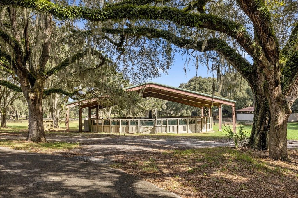 WILLISTON, Florida, 32696, United States, ,Commercial,Forsale,2004593