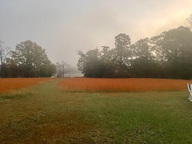 Dayton, Tennessee, 37321, United States, ,Residential,Forsale,2009518