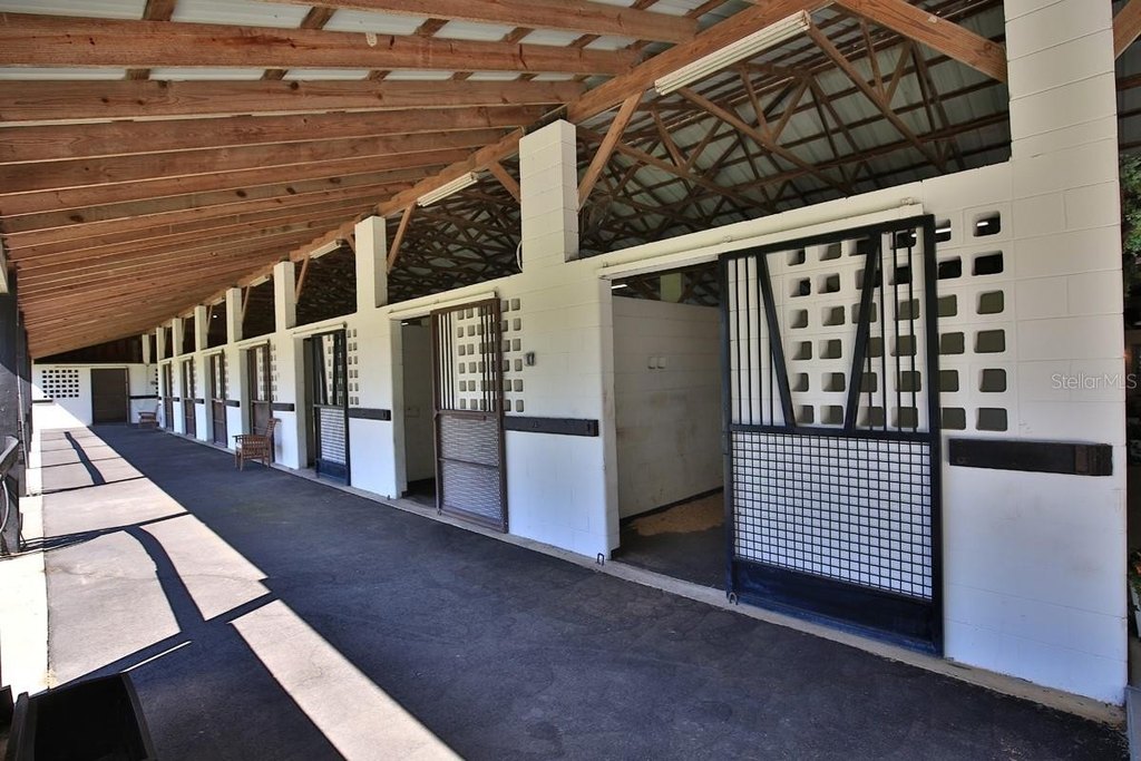 MORRISTON, Florida, 32668, United States, 5 Bedrooms Bedrooms, ,3 BathroomsBathrooms,Residential,Forsale,1969792