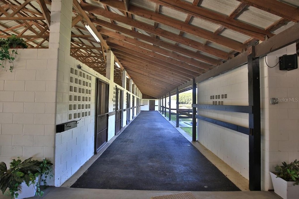 MORRISTON, Florida, 32668, United States, 5 Bedrooms Bedrooms, ,3 BathroomsBathrooms,Residential,Forsale,1969792