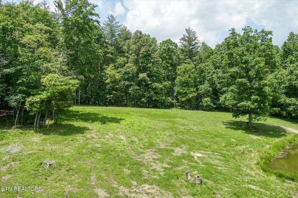 Deer Lodge, Tennessee, 37726, United States, 6 Bedrooms Bedrooms, ,2 BathroomsBathrooms,Residential,Forsale,1929820