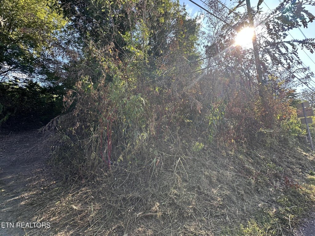 Tellico Plains, Tennessee, 37385, United States, ,Land,Forsale,1996595