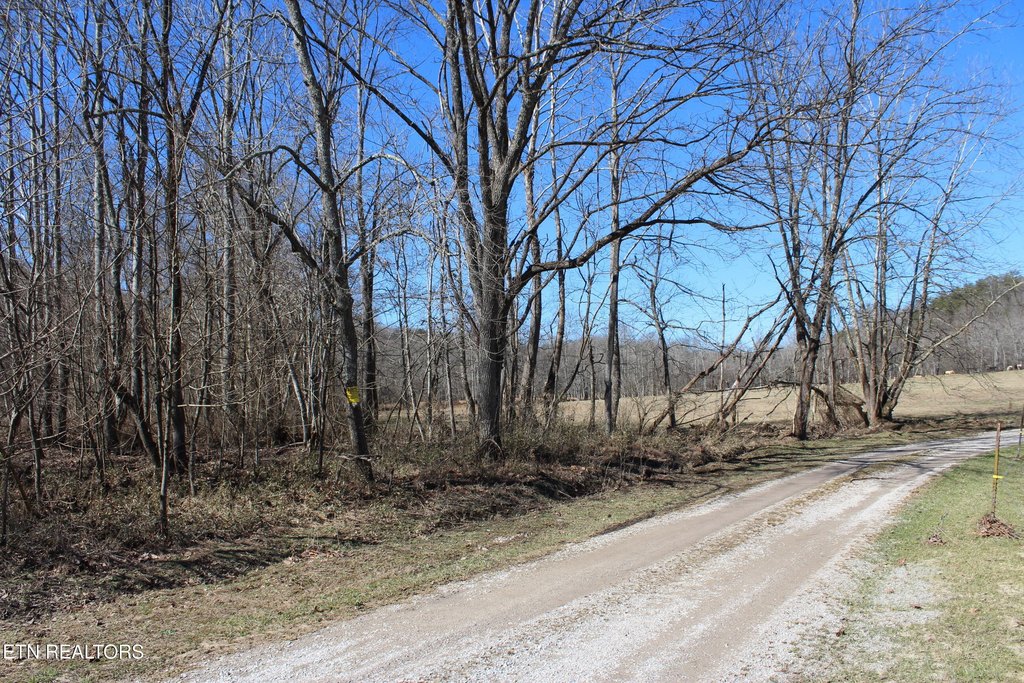 Jamestown, Tennessee, 38556, United States, 3 Bedrooms Bedrooms, ,1 BathroomBathrooms,Residential,Forsale,1885987