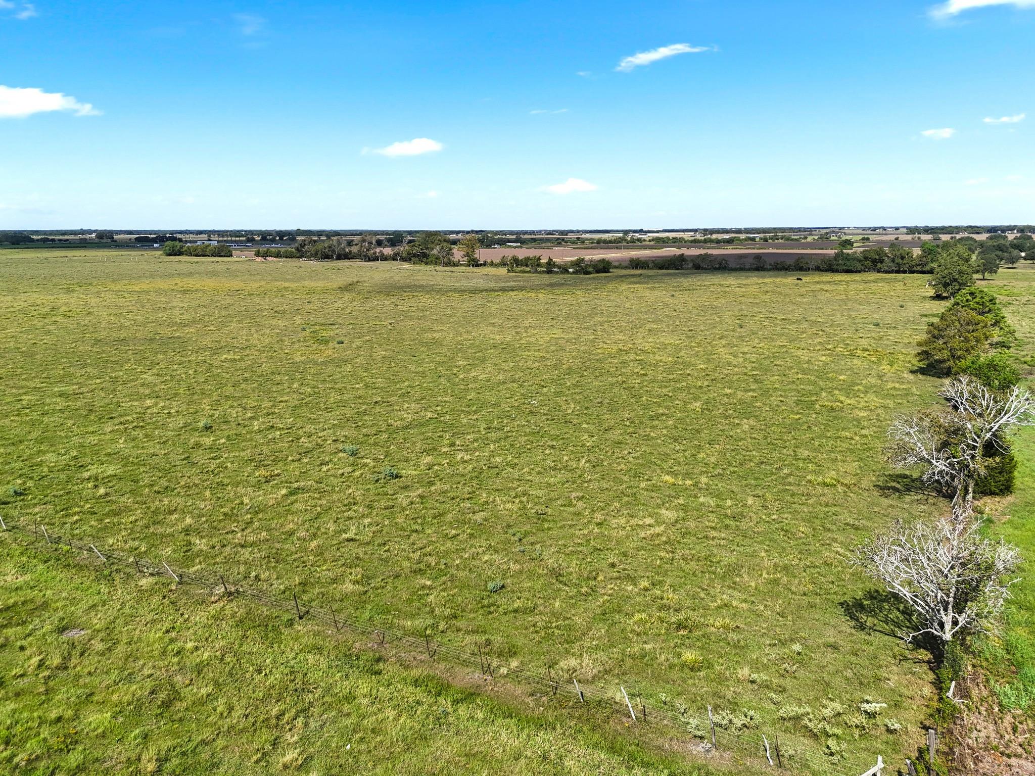 Needville, Texas, 77461, United States, ,Land,Forsale,1973438