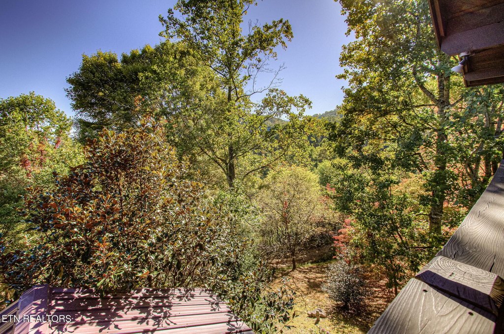 Sevierville, Tennessee, 37862, United States, 3 Bedrooms Bedrooms, ,3 BathroomsBathrooms,Residential,Forsale,1973612