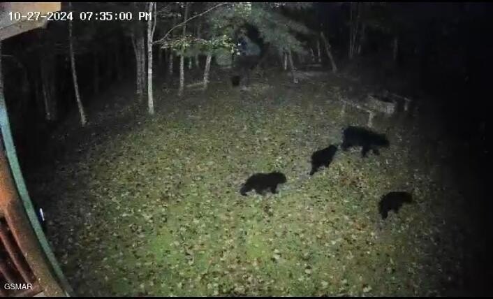 Sevierville, Tennessee, 37862, United States, 3 Bedrooms Bedrooms, ,2 BathroomsBathrooms,Residential,Forsale,1999446