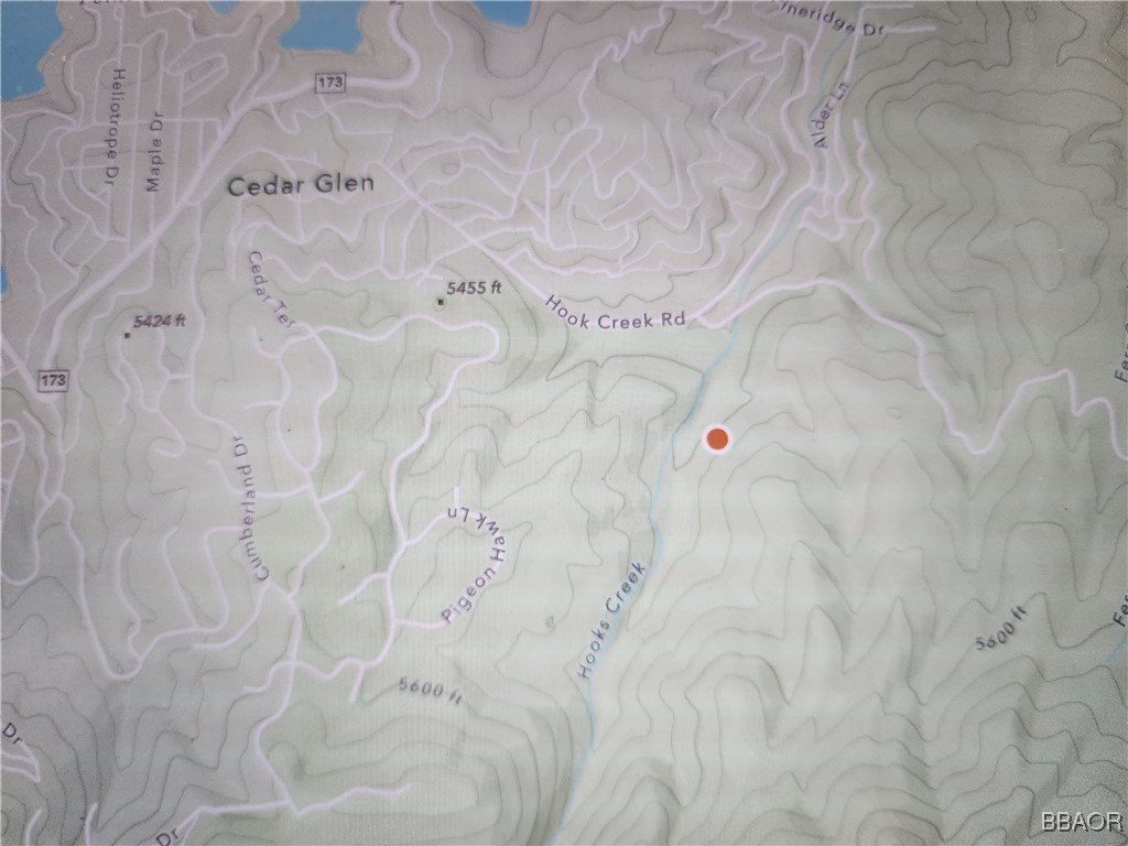 Cedar Glen, California, 92321, United States, ,Land,Forsale,2004858