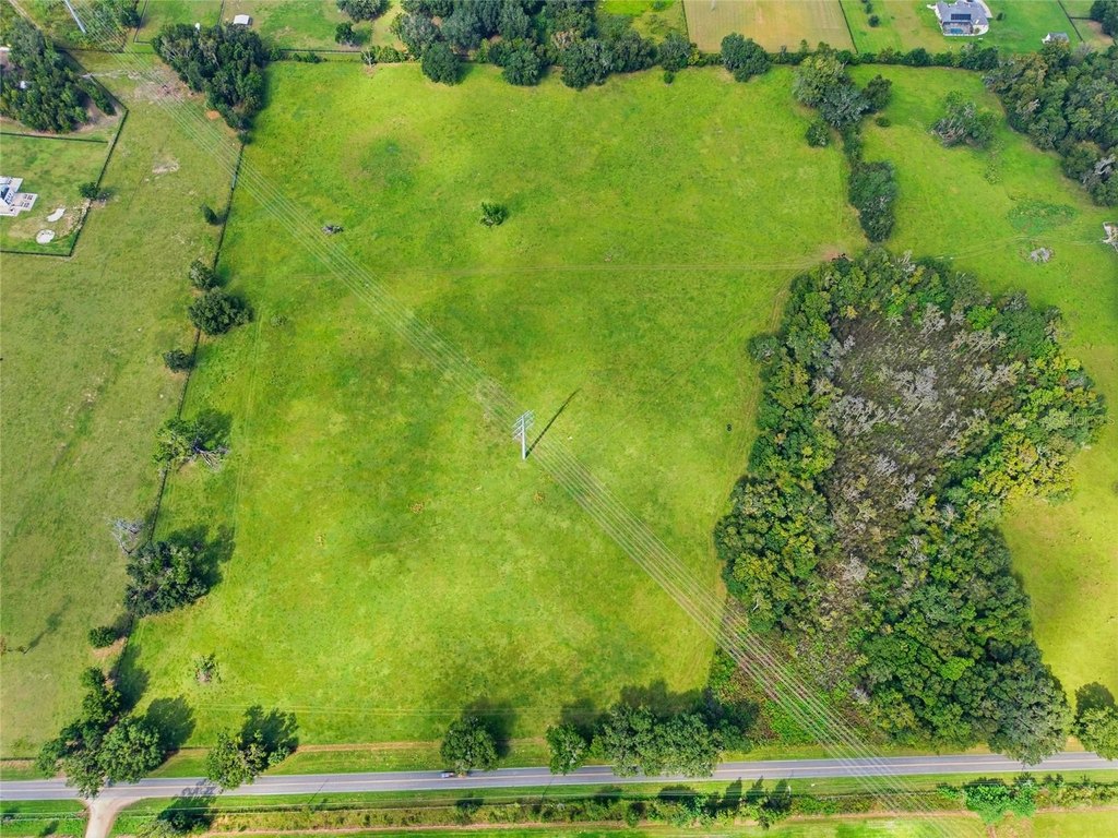 OCALA, Florida, 34475, United States, ,Land,Forsale,2004581