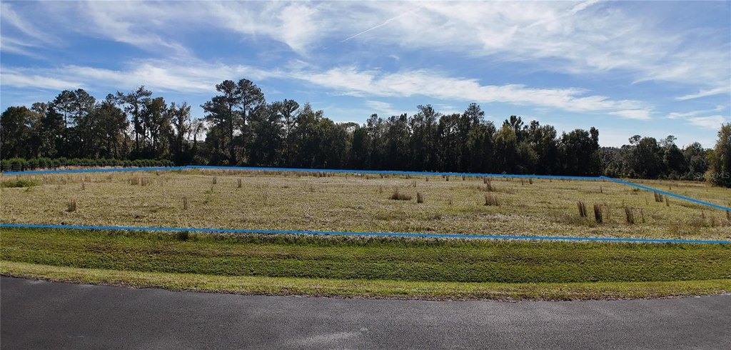 OCALA, Florida, 34482, United States, ,Land,Forsale,1994134