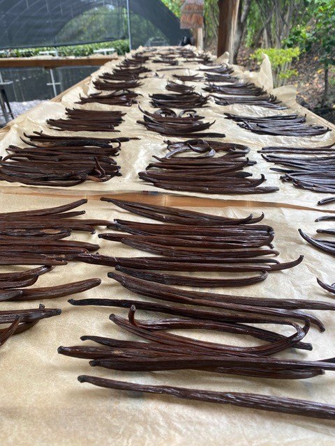 Kailua-Kona, Hawaii, 96740, United States, 3 Bedrooms Bedrooms, ,1.5 BathroomsBathrooms,Residential,Forsale,2004393