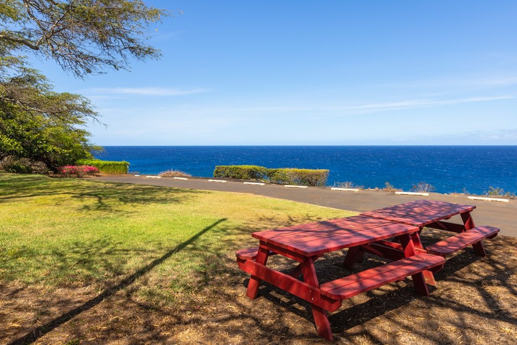Hawi, Hawaii, 96719, United States, ,Land,Forsale,2004411