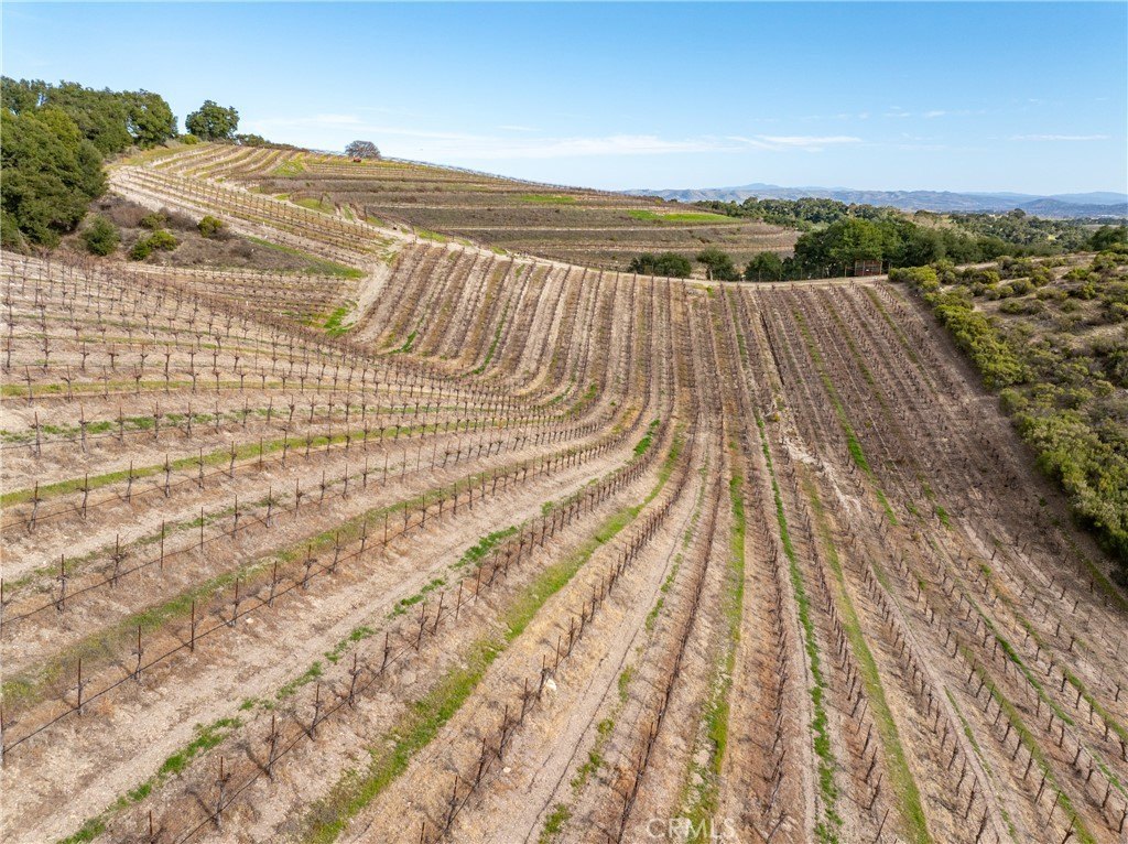 Paso Robles, California, 93446, United States, ,Commercial,Forsale,2009040