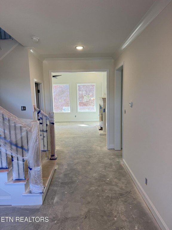 Knoxville, Tennessee, 37932, United States, 4 Bedrooms Bedrooms, ,3.5 BathroomsBathrooms,Residential,Forsale,1973598