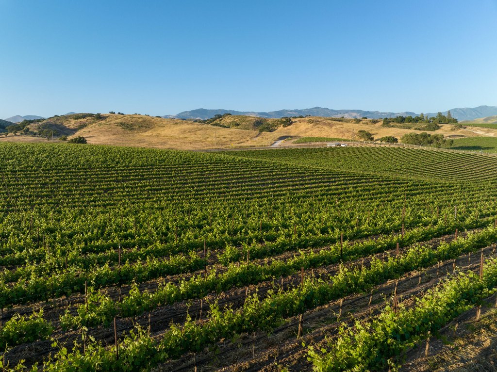 SANTA YNEZ, California, 93460, United States, ,Land,Forsale,1985949