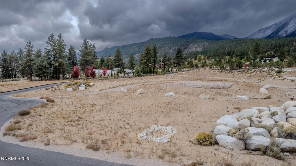 Washoe Valley, Nevada, 89704, United States, ,Land,Forsale,1993792