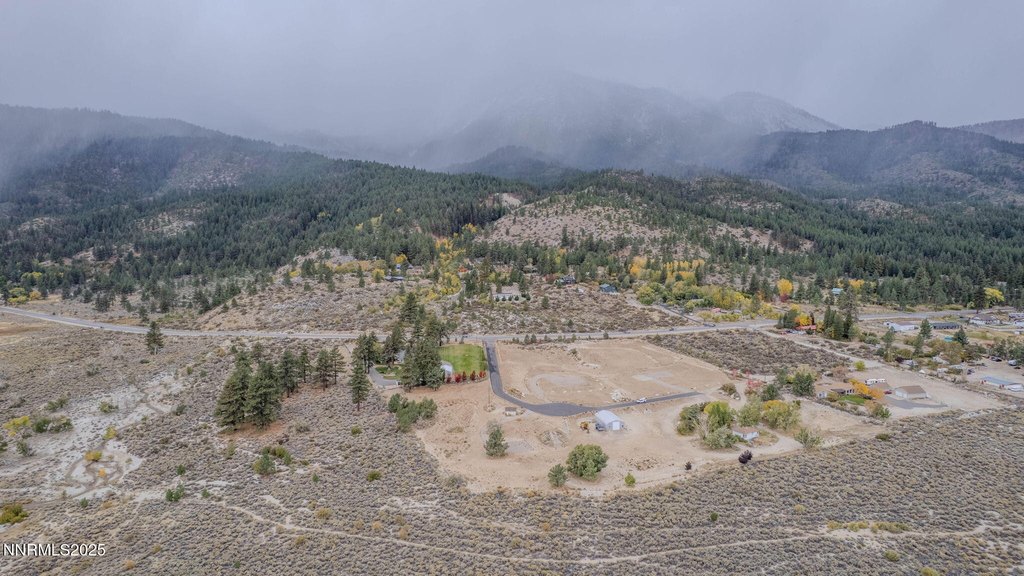 Washoe Valley, Nevada, 89704, United States, ,Land,Forsale,1993792