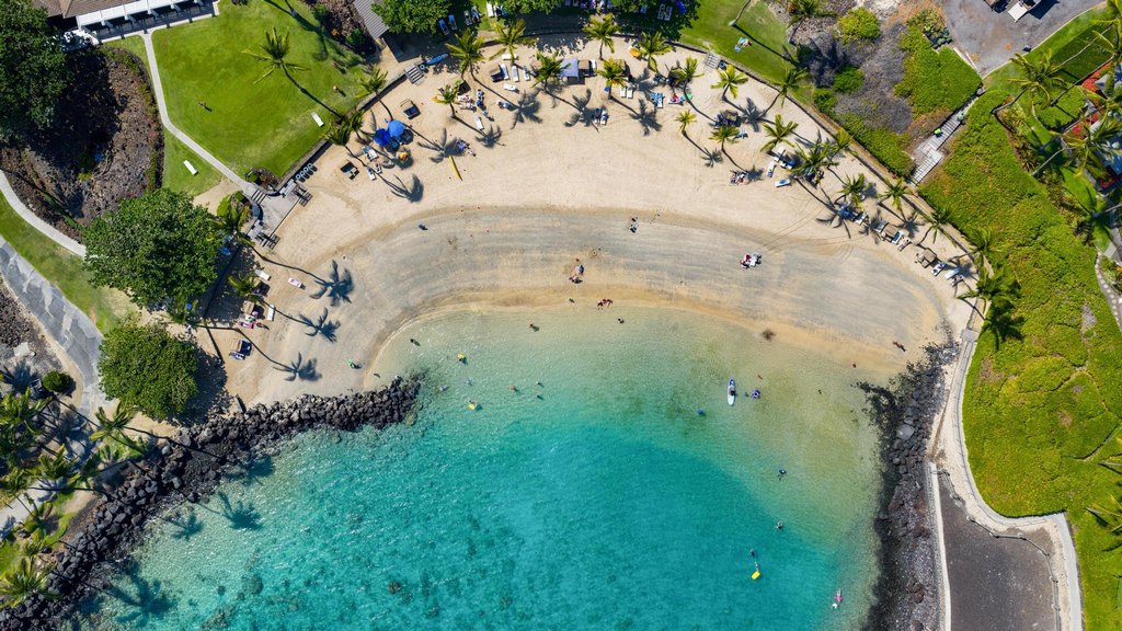 Kamuela, Hawaii, 96743, United States, ,Land,Forsale,1989838