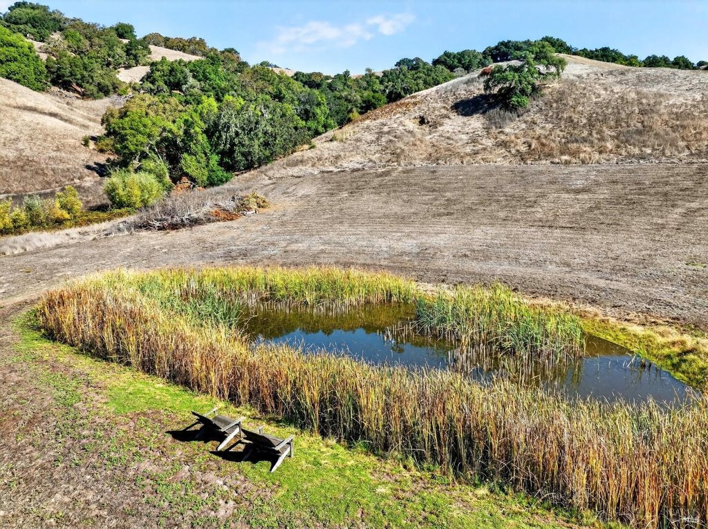 Santa Rosa, California, 95404, United States, ,Land,Forsale,1985925