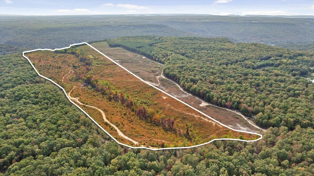 Spencer, Tennessee, 38585, United States, ,Land,Forsale,2009589