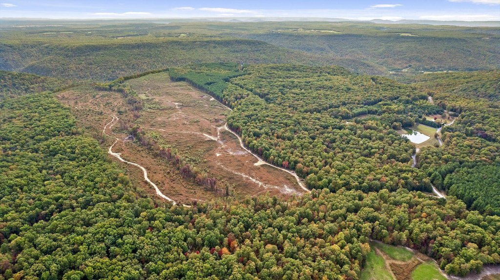 Spencer, Tennessee, 38585, United States, ,Land,Forsale,2009589