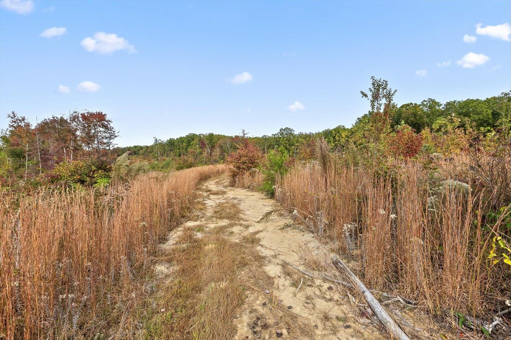Spencer, Tennessee, 38585, United States, ,Land,Forsale,2009589