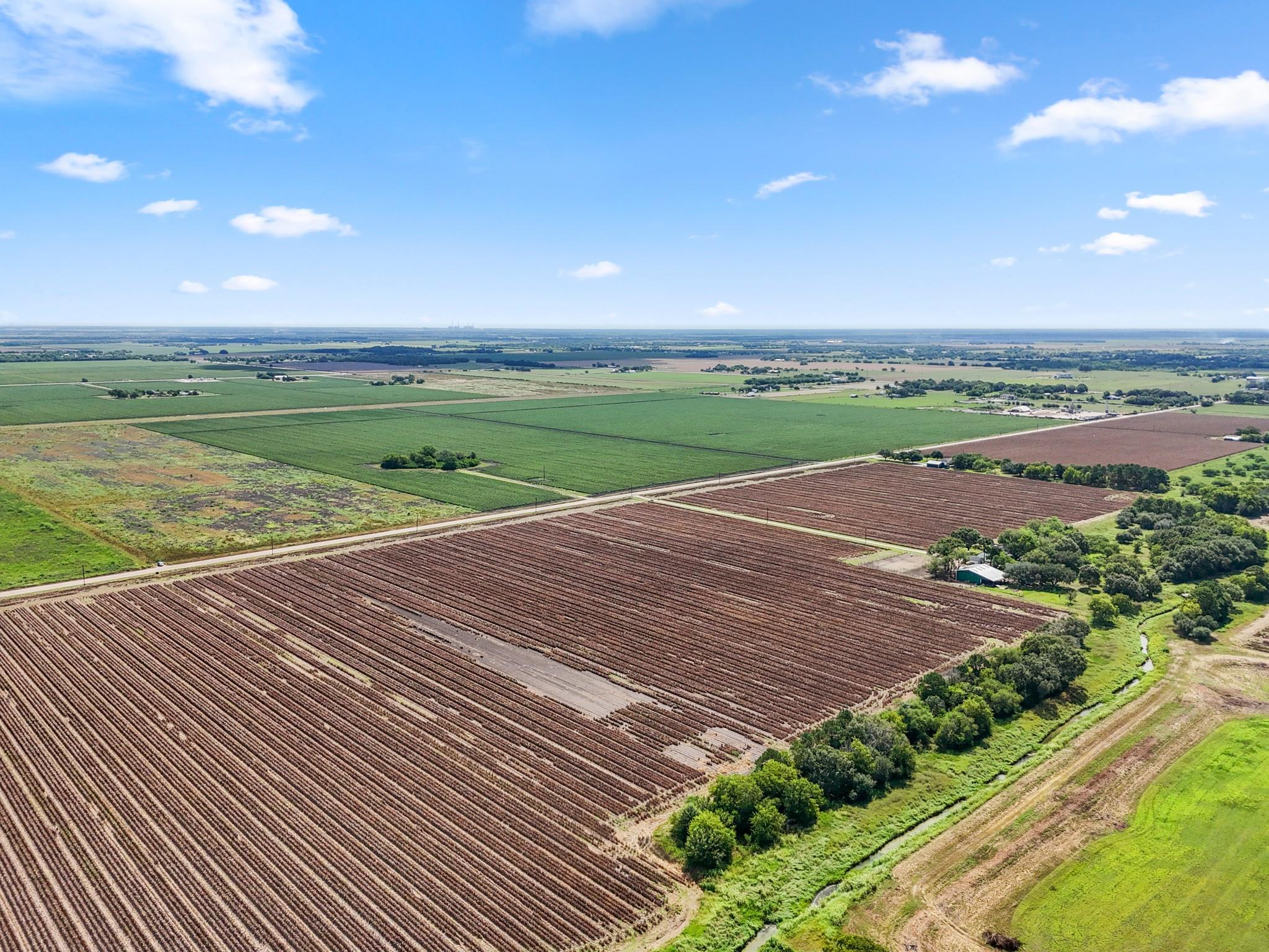 Needville, Texas, 77461, United States, ,Land,Forsale,1973439