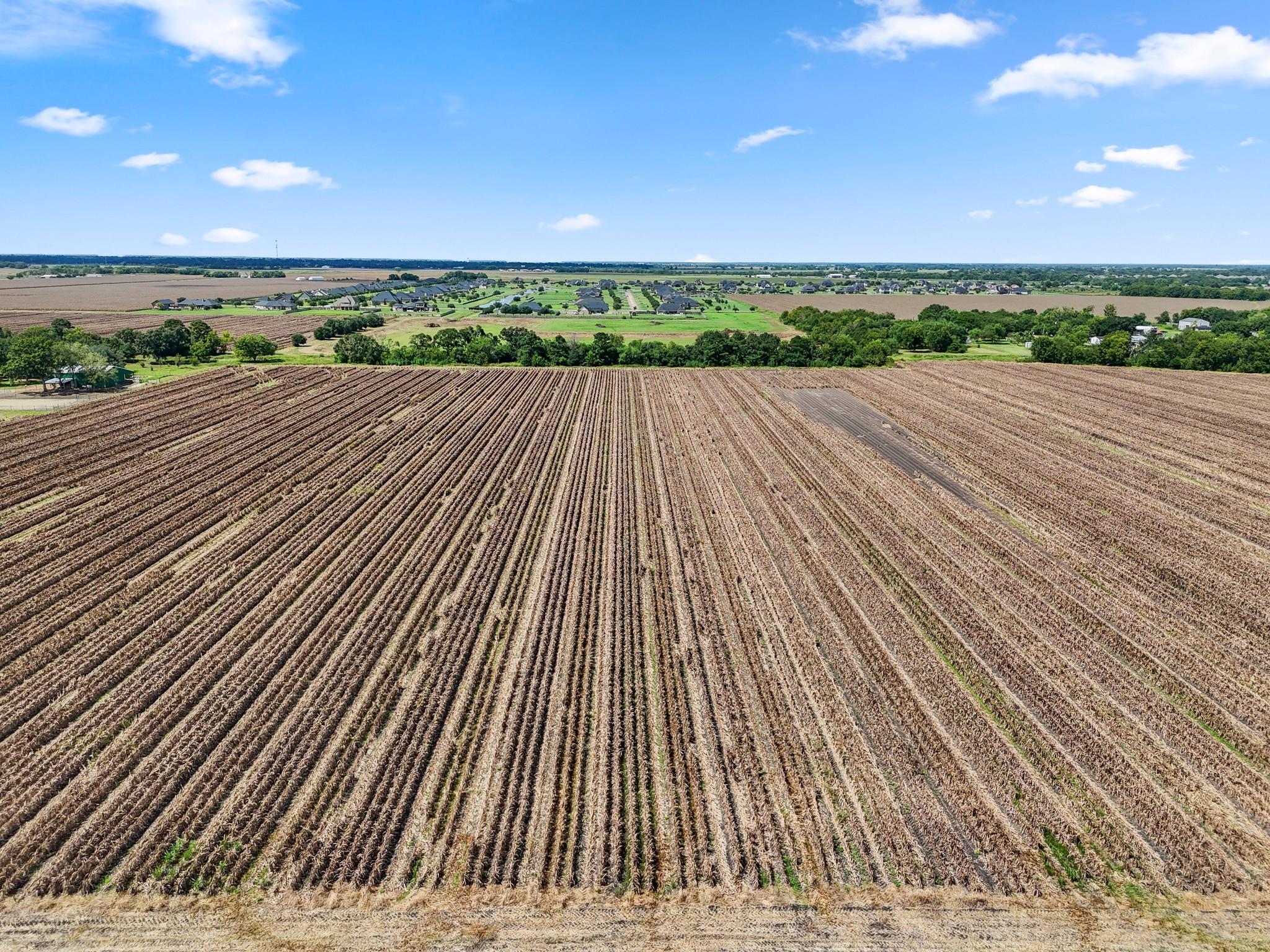 Needville, Texas, 77461, United States, ,Land,Forsale,1973439