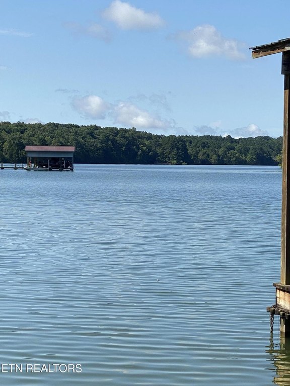 Spring City, Tennessee, 37381, United States, 3 Bedrooms Bedrooms, ,2 BathroomsBathrooms,Residential,Forsale,1952848