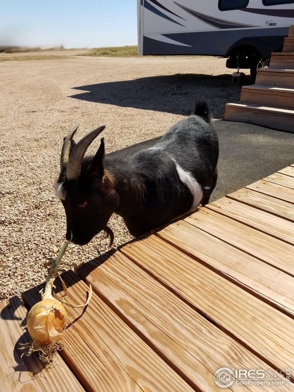 La Salle, Colorado, 80645, United States, ,Land,Forsale,2000012