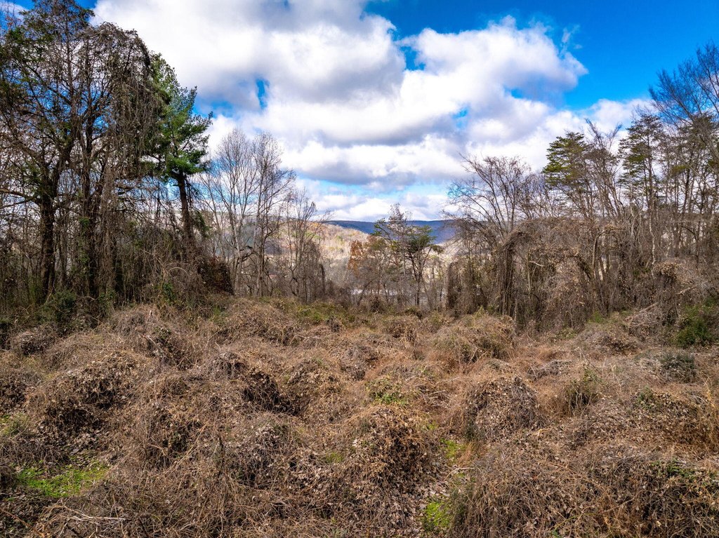 Dayton, Tennessee, 37321, United States, ,Land,Forsale,2004681