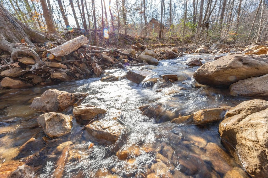 Pikeville, Tennessee, 37367, United States, ,Land,Forsale,2004680