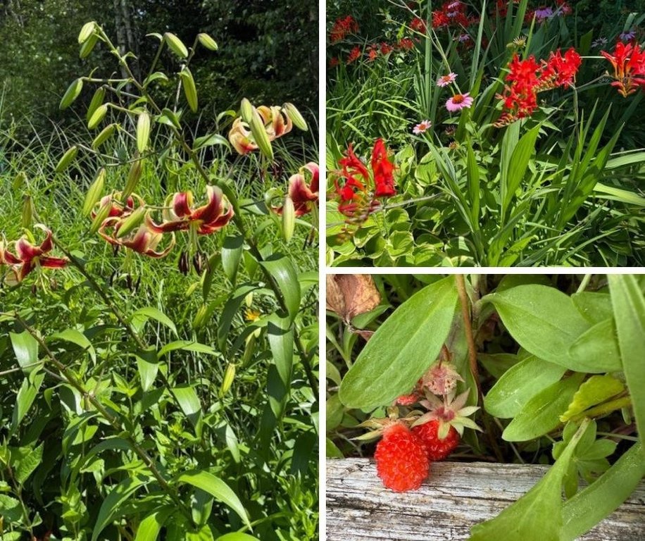 Williston, Vermont, 05495, United States, 2 Bedrooms Bedrooms, ,2 BathroomsBathrooms,Residential,Forsale,1999493