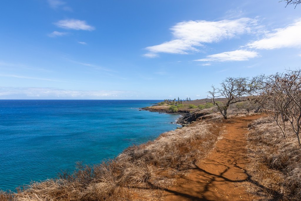 Hawi, Hawaii, 96719, United States, ,Land,Forsale,2004411