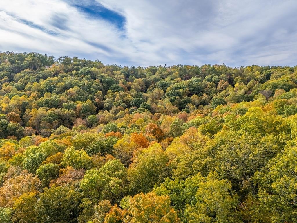 MONTEREY, Tennessee, 38574, United States, 3 Bedrooms Bedrooms, ,2 BathroomsBathrooms,Residential,Forsale,1907888