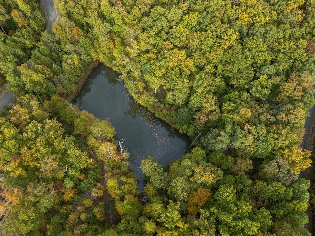 MONTEREY, Tennessee, 38574, United States, 3 Bedrooms Bedrooms, ,2 BathroomsBathrooms,Residential,Forsale,1907888