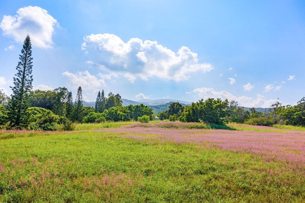 Lahaina, Hawaii, 96761, United States, ,Land,Forsale,2009551