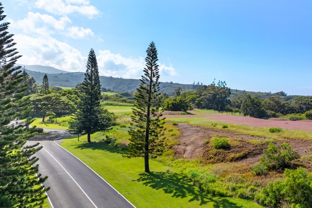 Lahaina, Hawaii, 96761, United States, ,Land,Forsale,2009551