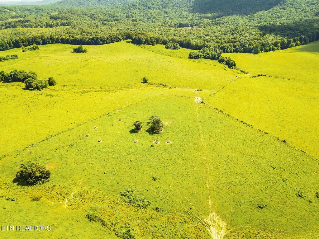 Sunbright, Tennessee, 37872, United States, ,Land,Forsale,1910240