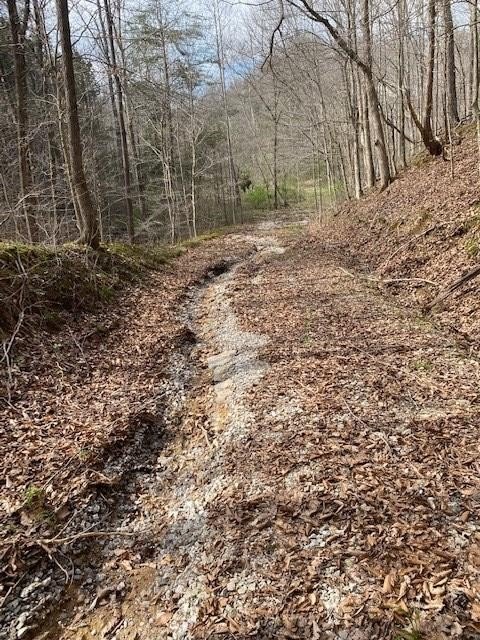 Hilham, Tennessee, 38568, United States, ,Land,Forsale,1999489