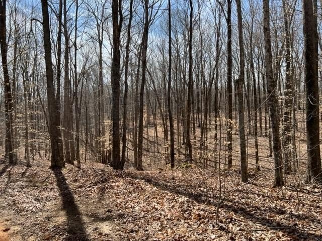 Hilham, Tennessee, 38568, United States, ,Land,Forsale,1999489