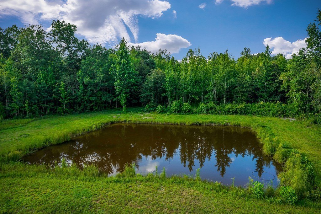 COOKEVILLE, Tennessee, 38501, United States, 3 Bedrooms Bedrooms, ,3 BathroomsBathrooms,Residential,Forsale,1952670