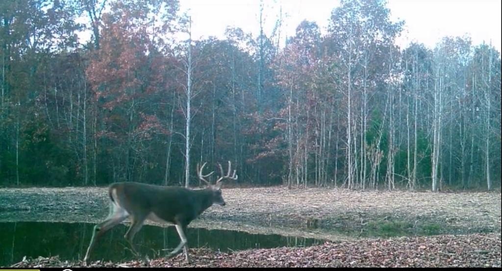 COOKEVILLE, Tennessee, 38501, United States, 3 Bedrooms Bedrooms, ,3 BathroomsBathrooms,Residential,Forsale,1952670