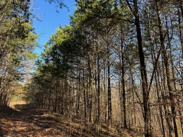 Celina, Tennessee, 38551, United States, ,Land,Forsale,1999487