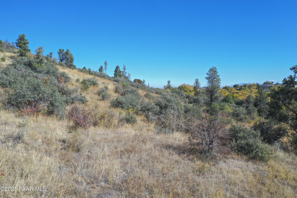 Prescott, Arizona, 86301, United States, ,Land,Forsale,2011289