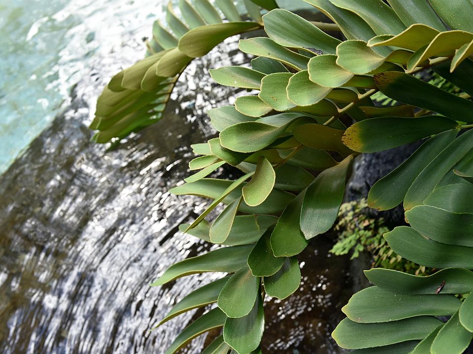 Lahaina, Hawaii, 96761, United States, 3 Bedrooms Bedrooms, ,2 BathroomsBathrooms,Residential,Forsale,1963539